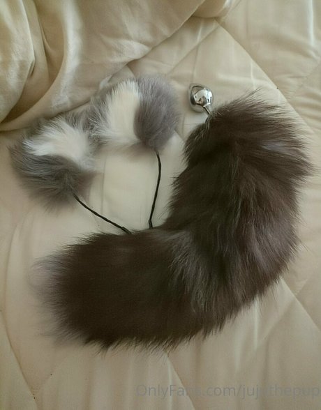 jujuthepup adult actress photo