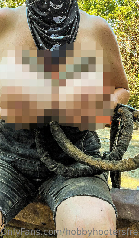 hobbyhootersfree top star pictures