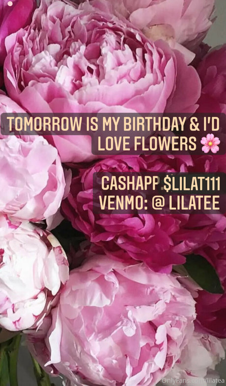 lilatea model top photo