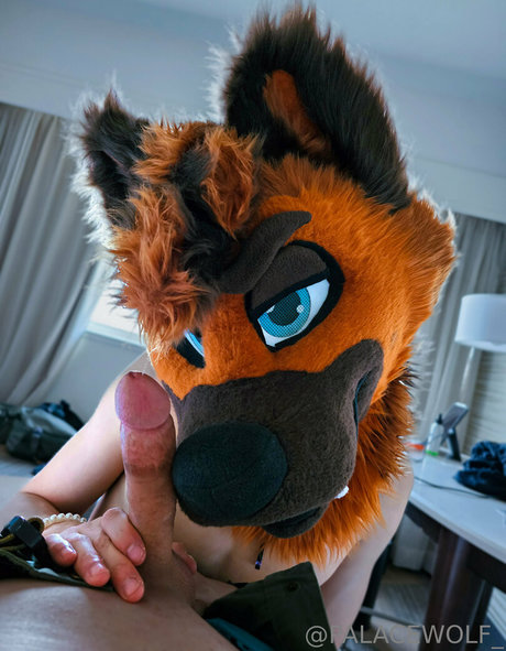 palacewolf hot pornstar pictures