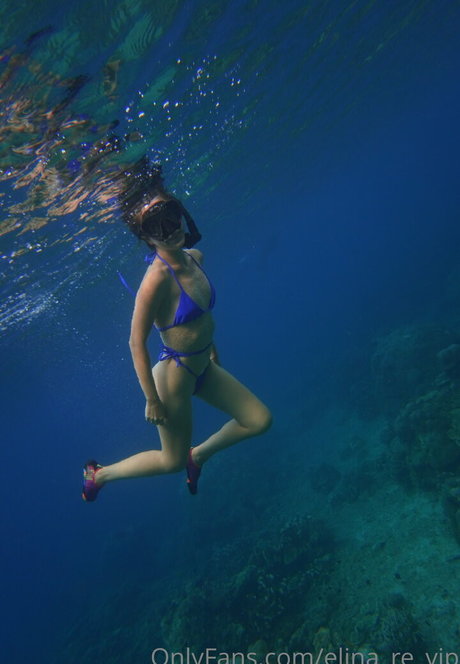 Elina re vip pornstar naked picture