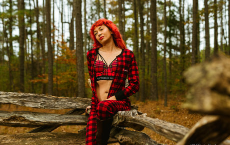 aspensnow free art actress image