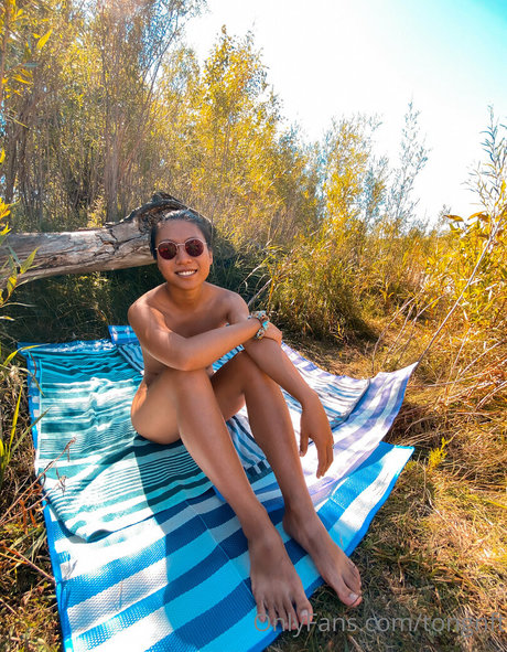 not20 nice star gallery