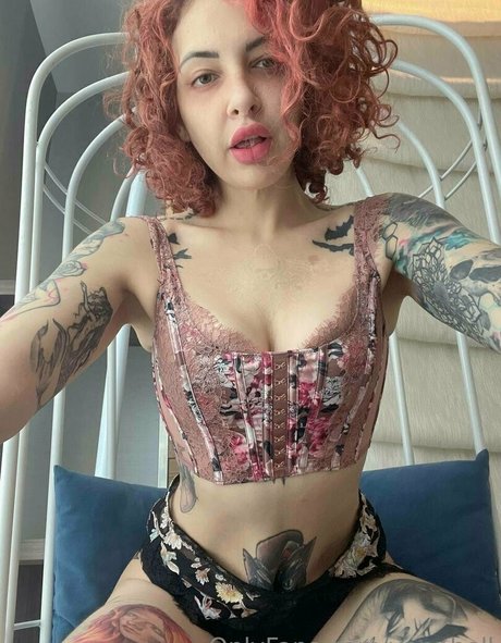 vanphell art star gallery