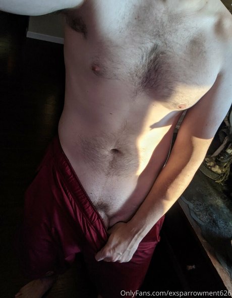 exsparrowment626 hd model img