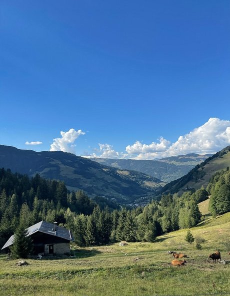 pollylittlecaprice nude model image