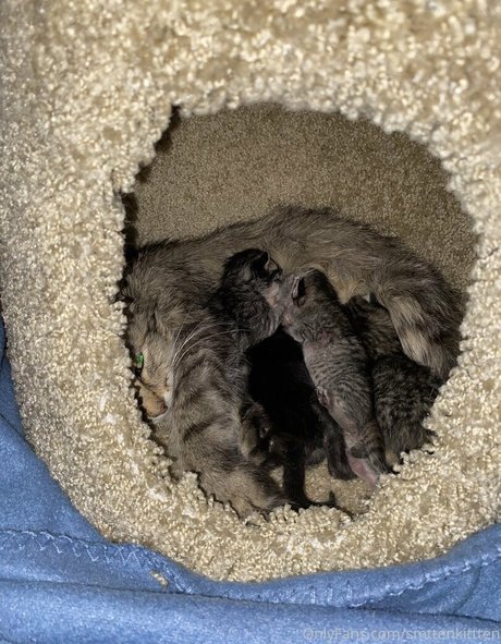 joi milf onlyfans hd img