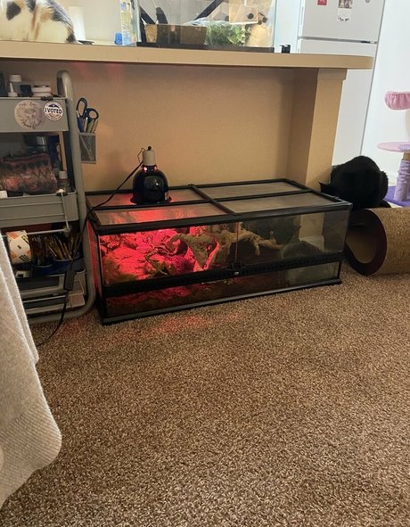 blowjob public onlyfans hd pictures