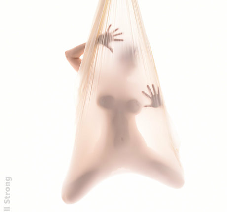 lobfree pretty star photo