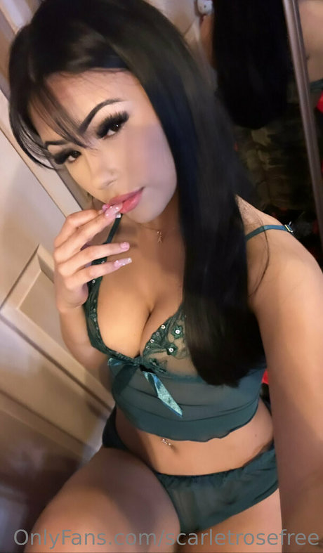 scarletrosefree star nice gallery