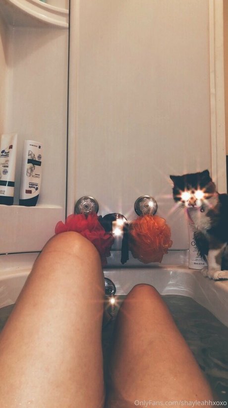 shayleahhxoxo pornstar nude galleries