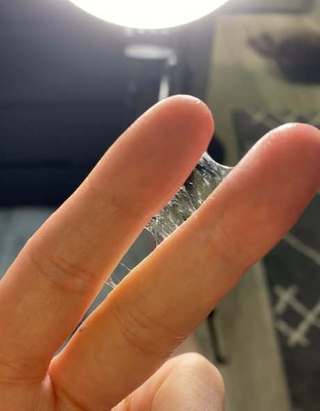 acidchelle 0 best model archive