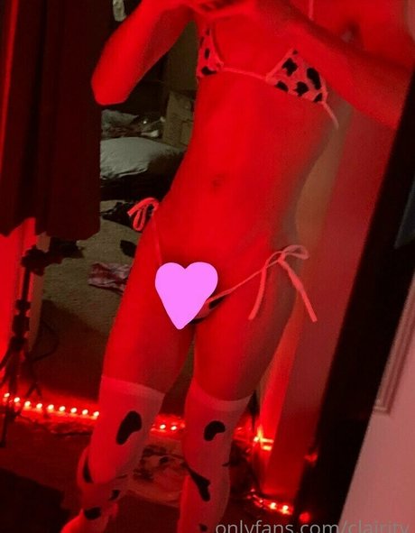 clairity hot model archive