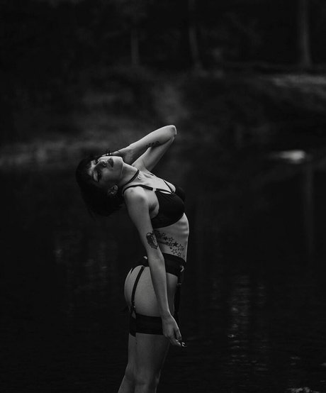 msliterate star adult gallery