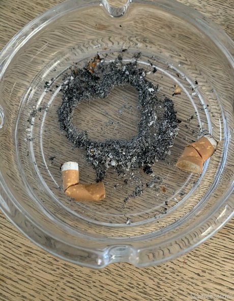 scarletjames301 top star photo