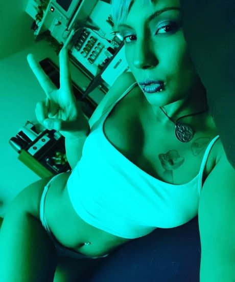 Nasu Grinder model best image