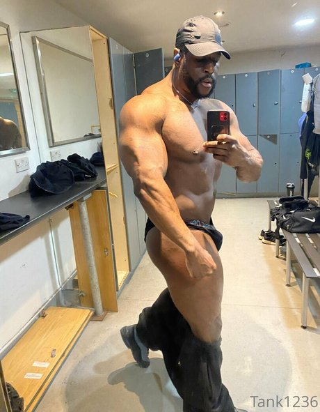 pleasure12368 top star img