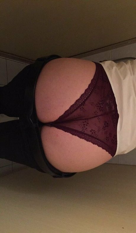 wild kitty9 star hd pictures