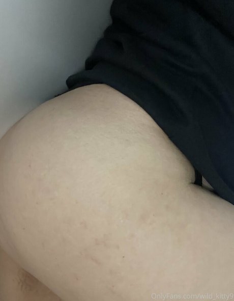 wild kitty9 star photo