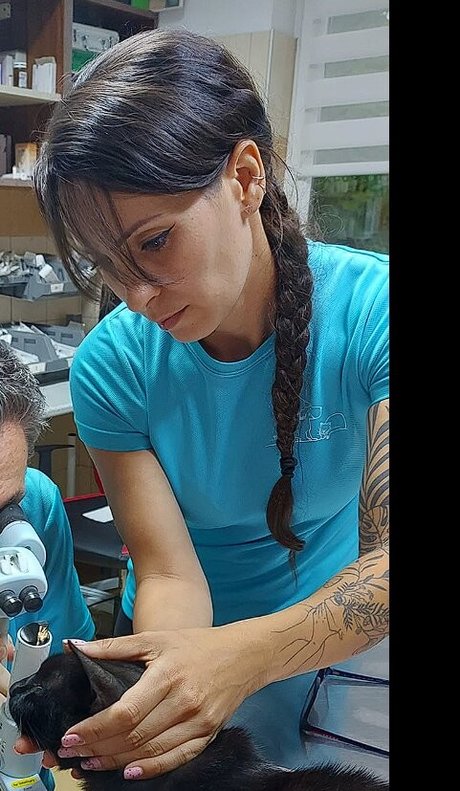 Vas Megyei Lanyok nudes star image