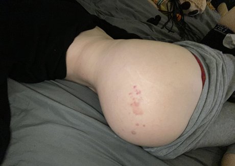 angelahalee pornstar beautiful archive