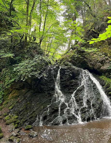 freefrost free star image