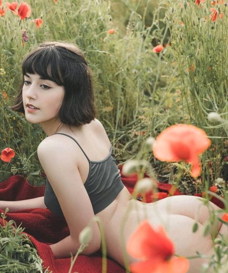 kimekomi_ sexy star pictures