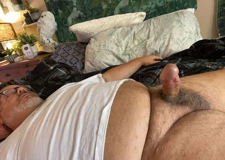 bearsorlando pretty star image