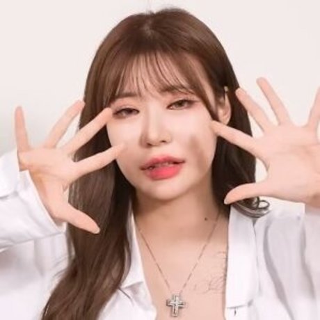 Minharin Harin best model archive