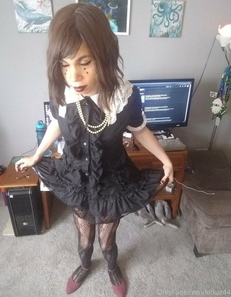 kitkat44 star best images