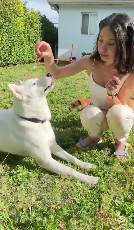 Lily Kawaii model high quality photos