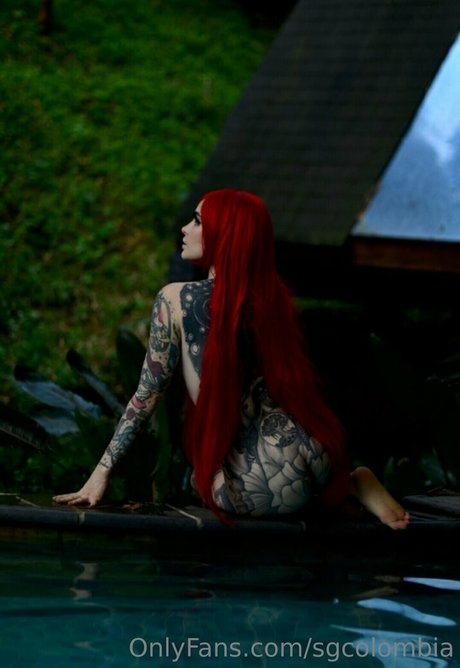 sgcolombia art star archive