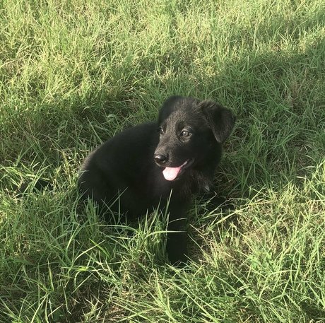 Villainous Coochie hot star images