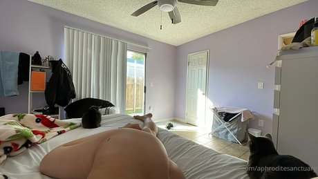 ACJ top model gallery