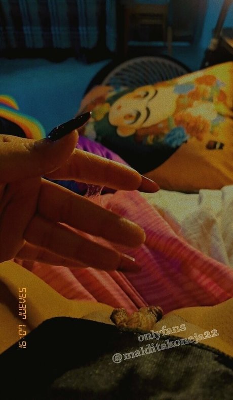 malditakoneja22 pornstar sex photo
