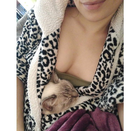 GoddessZoey best pornstar image