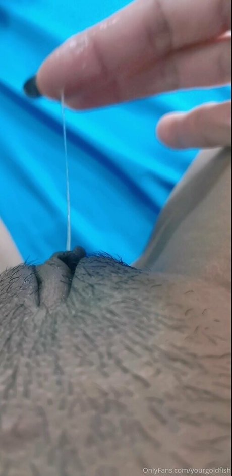 Yourgoldfish perfect model galleries