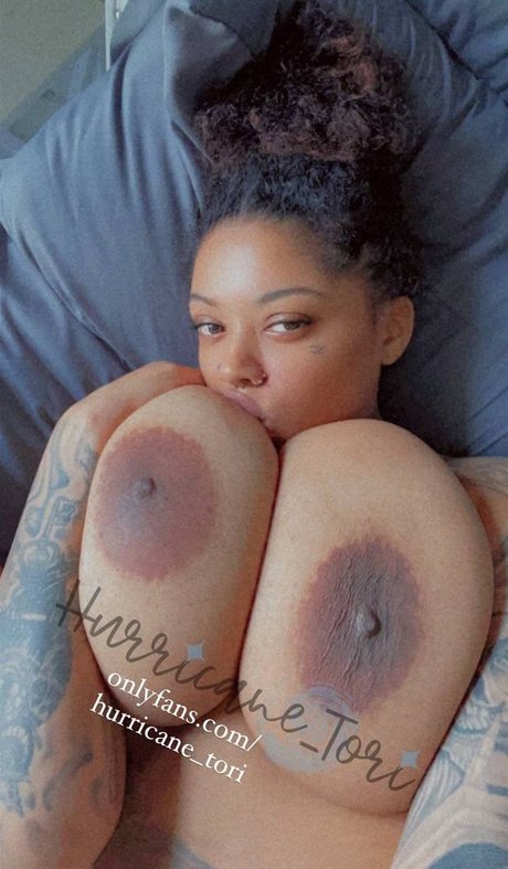 hurricane tori top model image