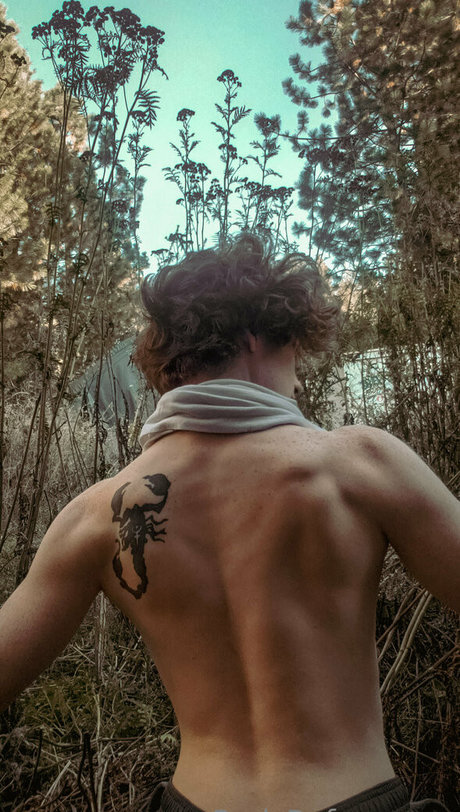 redsreferences star perfect photo