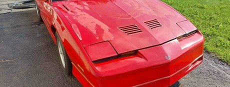 Shygal lilly hot model galleries