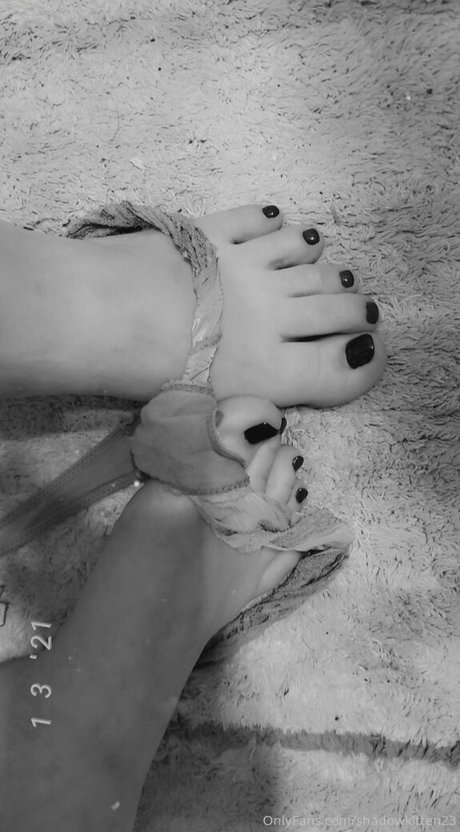 shadowkitten23 pornstar adult image