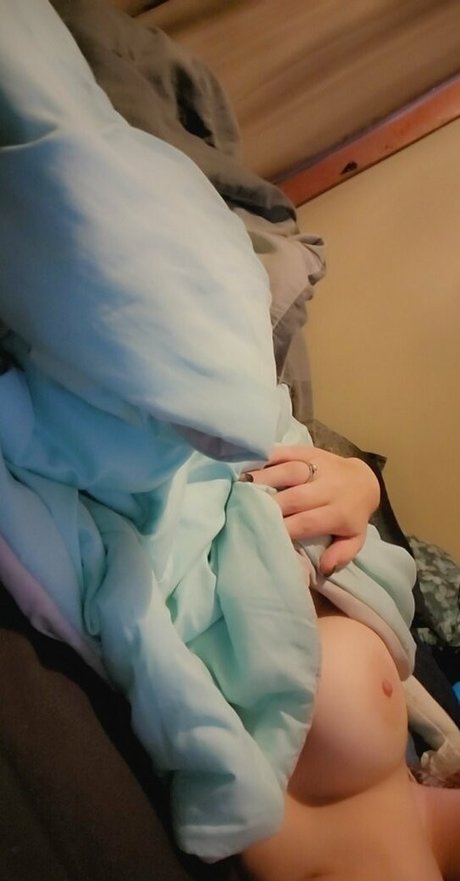 shadowkitten23 star perfect images