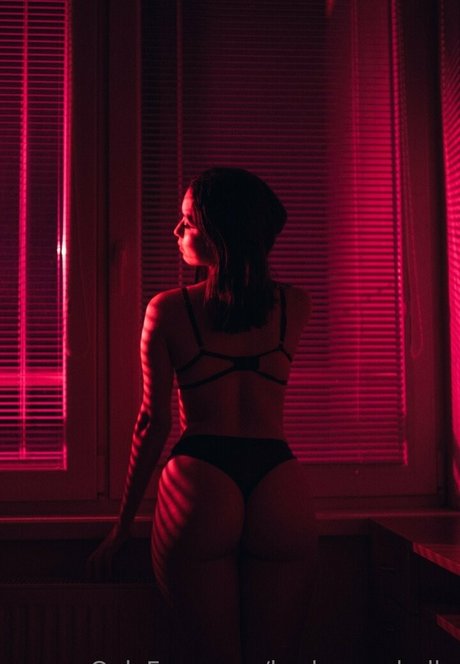 barbaracabello art star pictures