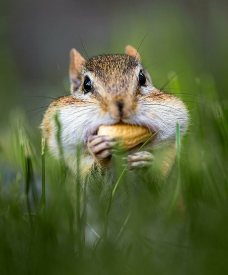 fatsackfails pretty actress pictures