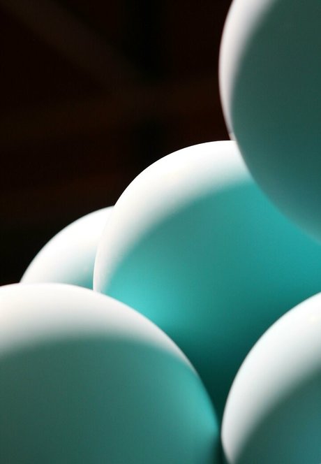 fatsackfails free pornstar pics