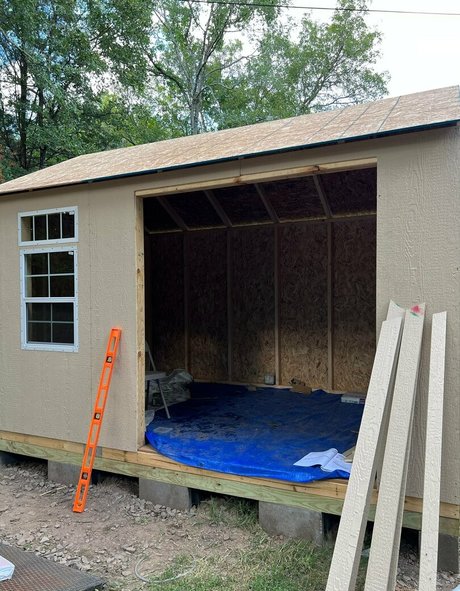 thysugarbiscuit model adult img