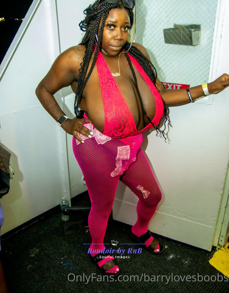 barrylovesboobs pornstar nudes galleries