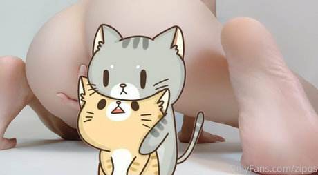 zipos star high quality photo