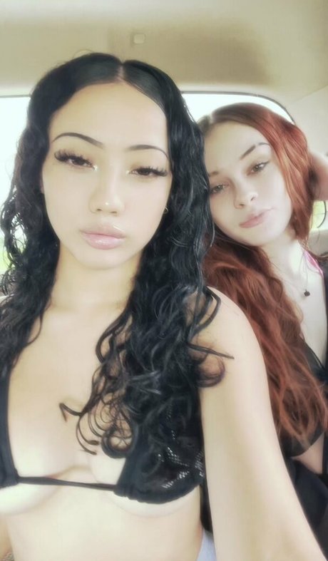 lxn6a top star galleries