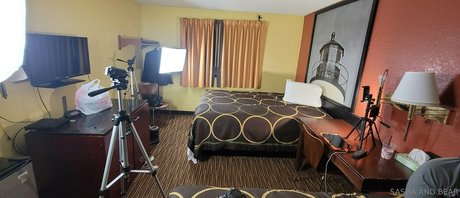 sashaandbearxx star perfect pictures